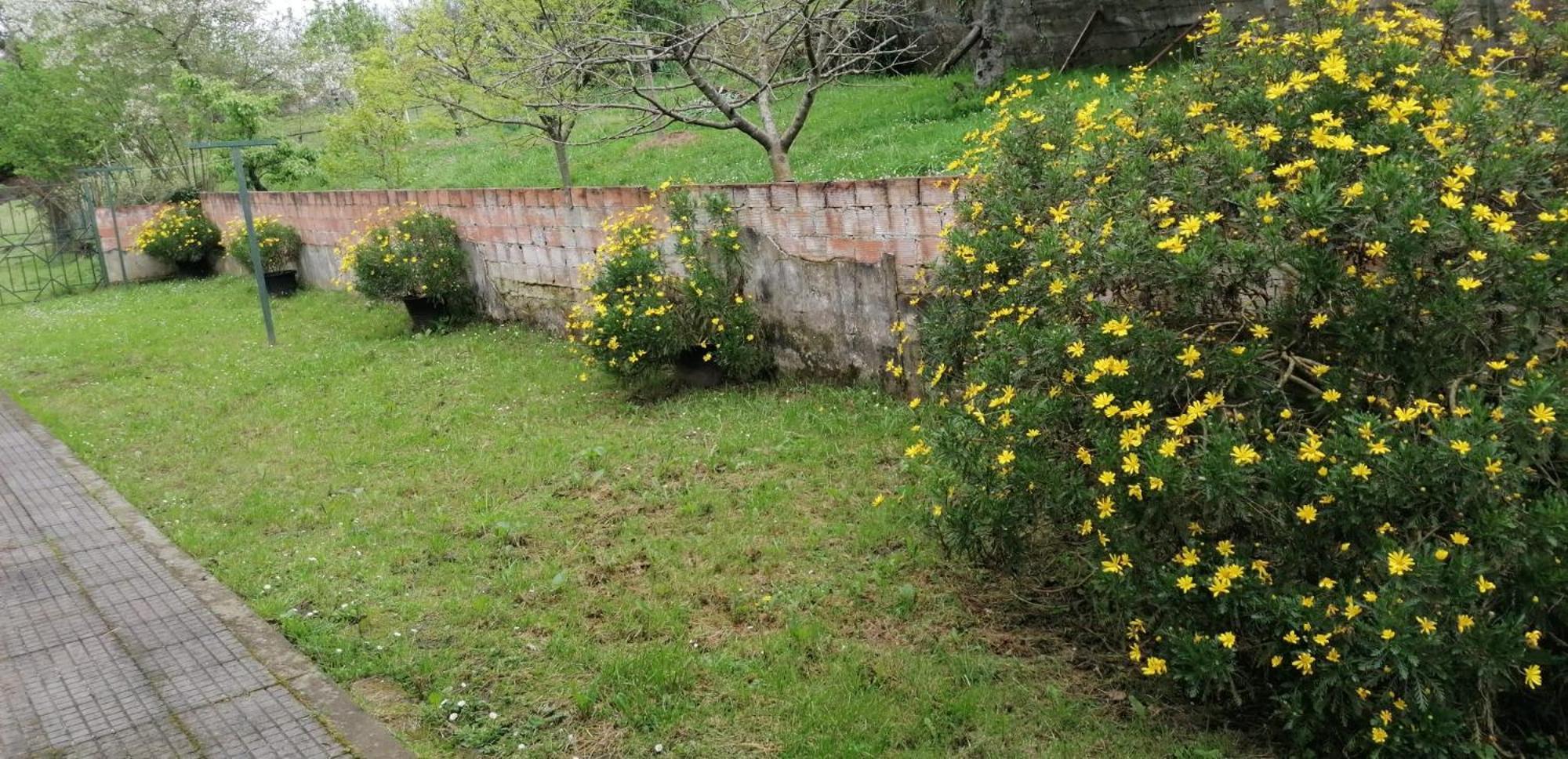 Fondu La Llosa - Casita Cerca De Gijon - Vv-662-As Villaviciosa  Bagian luar foto